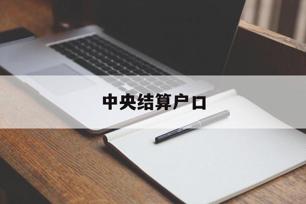 中央结算户口(中央结算公司是做什么的)